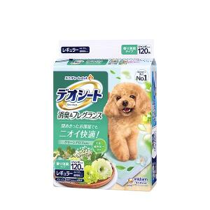 ��ˡ����㡼�� �ǥ������Ⱦý�&�ե쥰��󥹥��꡼�󥢥��ޤι��쥮��顼 120�硡4520699729946��ˡ����㡼�� �ǥ������Ⱦý�&�ե쥰��󥹥��꡼�󥢥��ޤι��쥮��顼 120�硡4520699729946